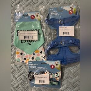 Vibrant Blue and Mint Green Dog Accessory Set